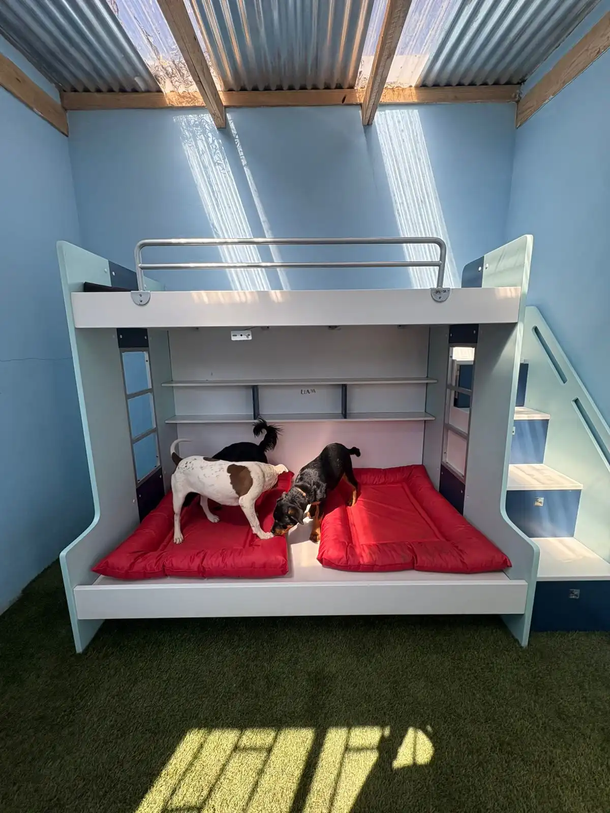 coopers hotel dog house 001